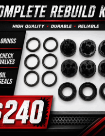 Extra rebuild kit for check valves